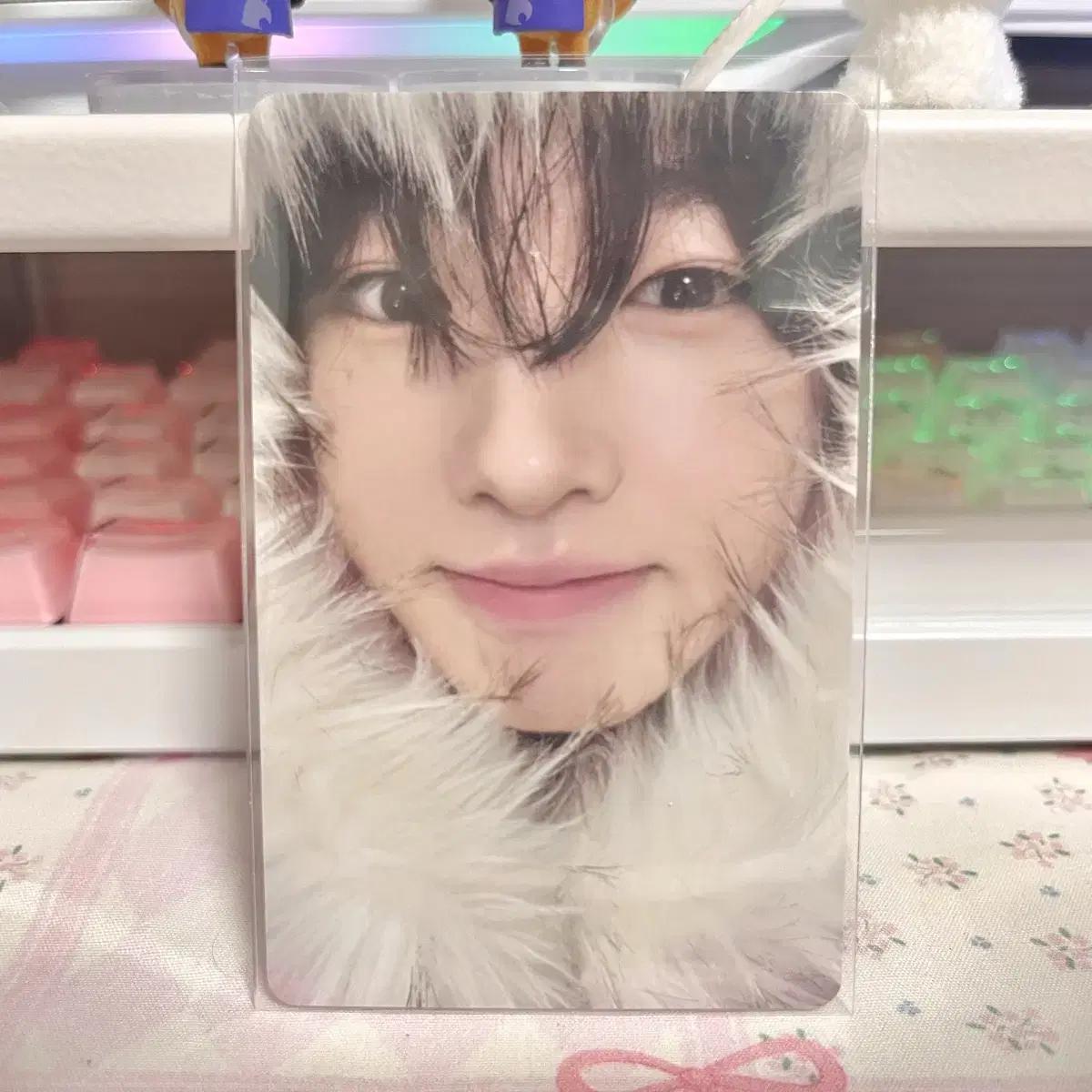 

Ncitywish Sakuya First-run Limited Edition Miracle Photo Cards On Sell