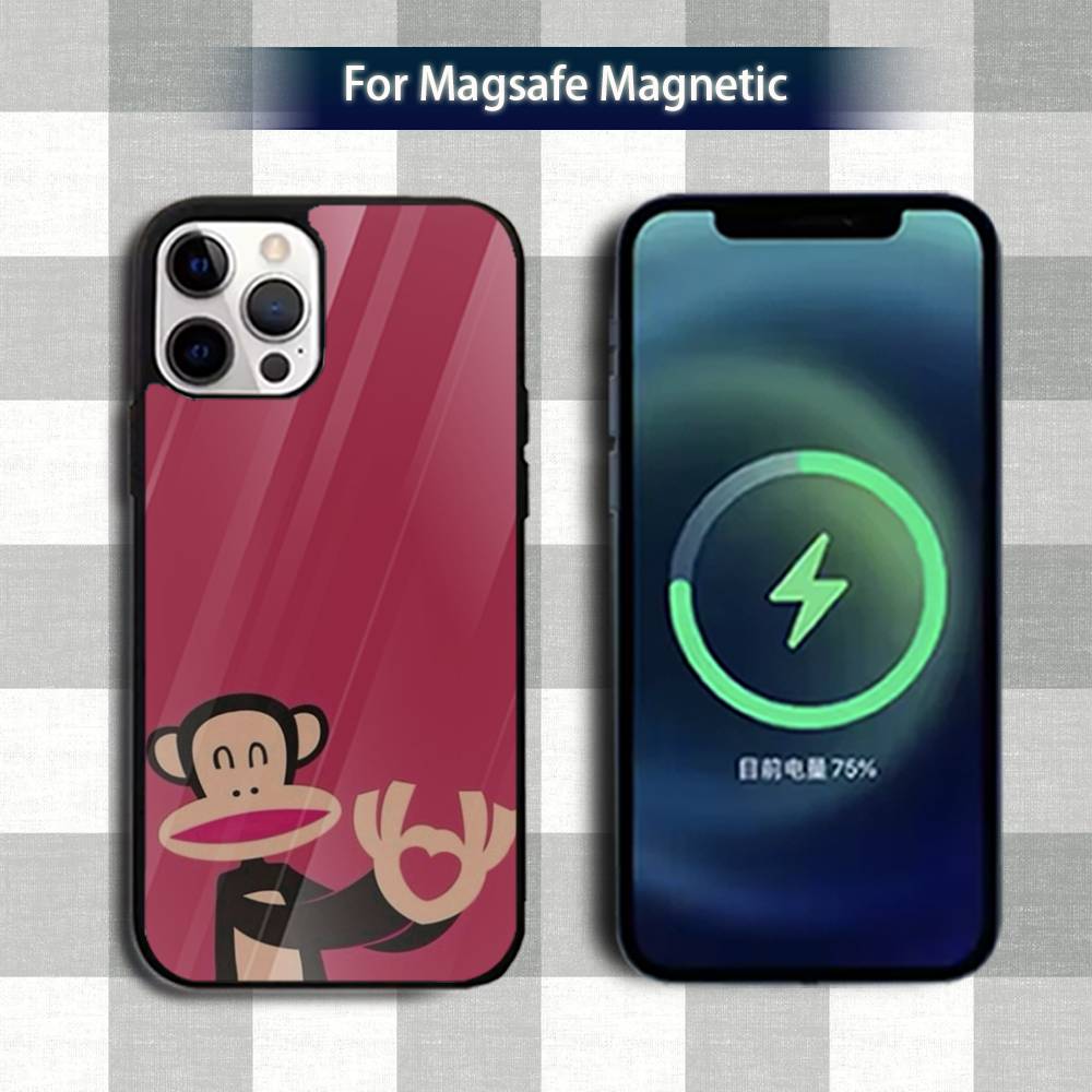 Famous P-Paul F-FrankS Phone Case For iPhone 13,12,15,17,11,16,14,Pro,Max,Plus,Mini,Magsafe,Magnetic Wireless Charging Case