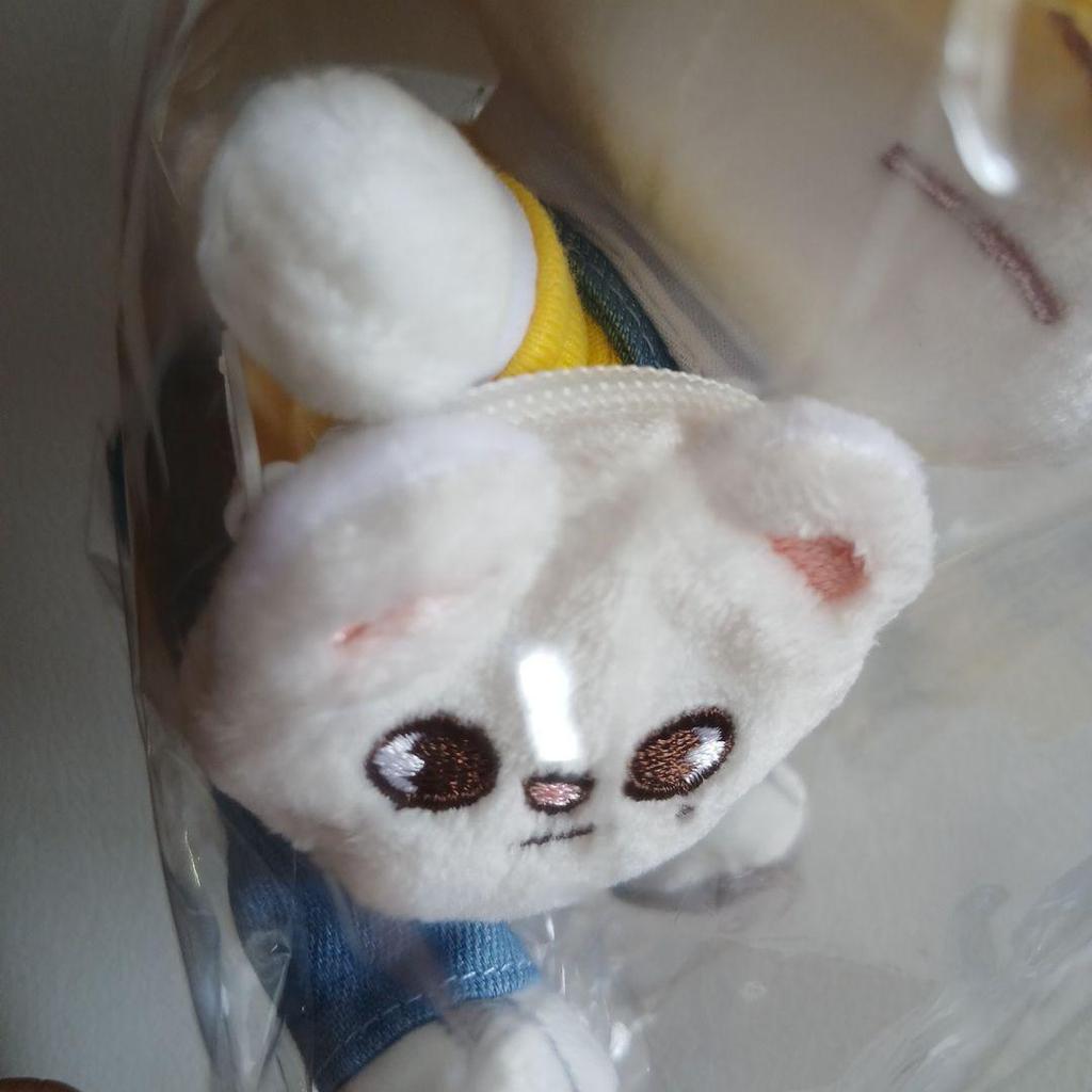 [USED] Straykids Genielet Plush Toy Hyunjin for Kindergarteners