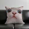 1pc Cute Cat Pillow Case Square Bedroom Sofa Leisure Comfort Cushion Car Living Room Home Decoration