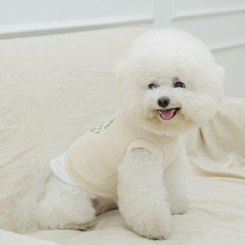 SALTYHEARTY SALTYCLUB SWEATSHIRT IVOIRE