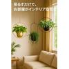 Hanging with for Balcony or Balcony Use Planter, Iron, Hooks, Wall-Mounted (Large, Round)