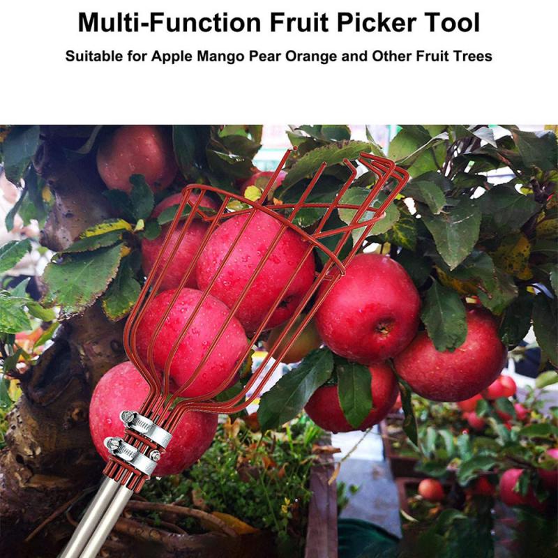 3PCS Garden Basket Fruit Picker Head Plastic Fruit Picking Tool High-altitude Fruit Picker Picking Loquat Picking Bayberry Tool