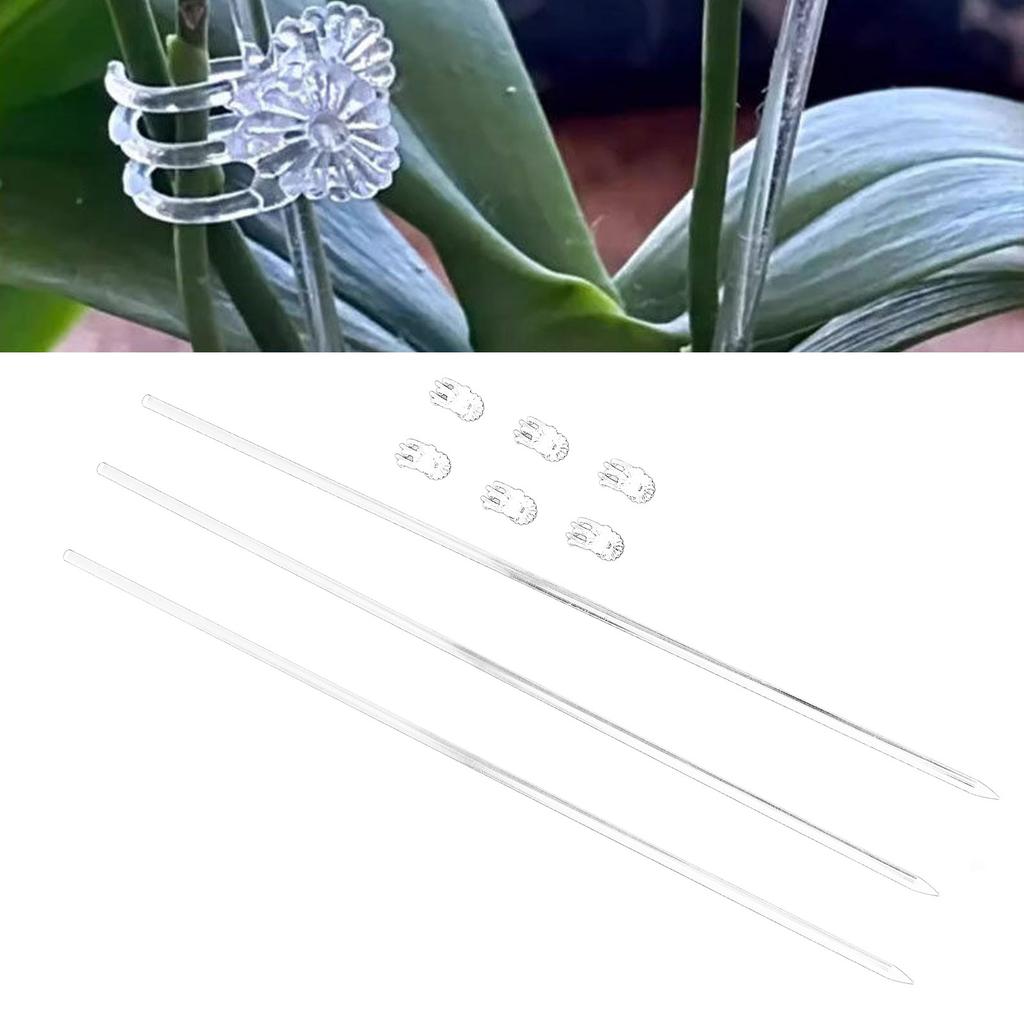 36 stuks 15,6 inch Acryl Plantensteunen, Heldere Bloemondersteunstokken met Clips, Ideaal voor Orchideeën en Potplanten