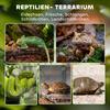 Terrario in Vetro per Rettili, Fondo Rialzato e Impermeabile, Chiusura a Manopola