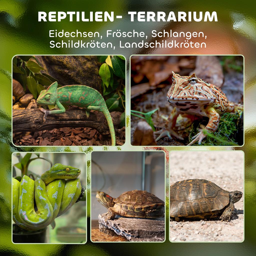 Terrario in Vetro per Rettili, Fondo Rialzato e Impermeabile, Chiusura a Manopola