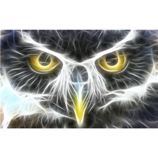 

HC Алмазная вышивка Кошка Алмазная картина Вышивка крестом Наборы ручной работы DIY Алмаз 20*30 cm