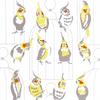 Dyeing Anbo Hand Towel Parakeet Authentic Dyed Cotton Tokuoka Made in Japan 35cm x 100cm "Okame White" 100%