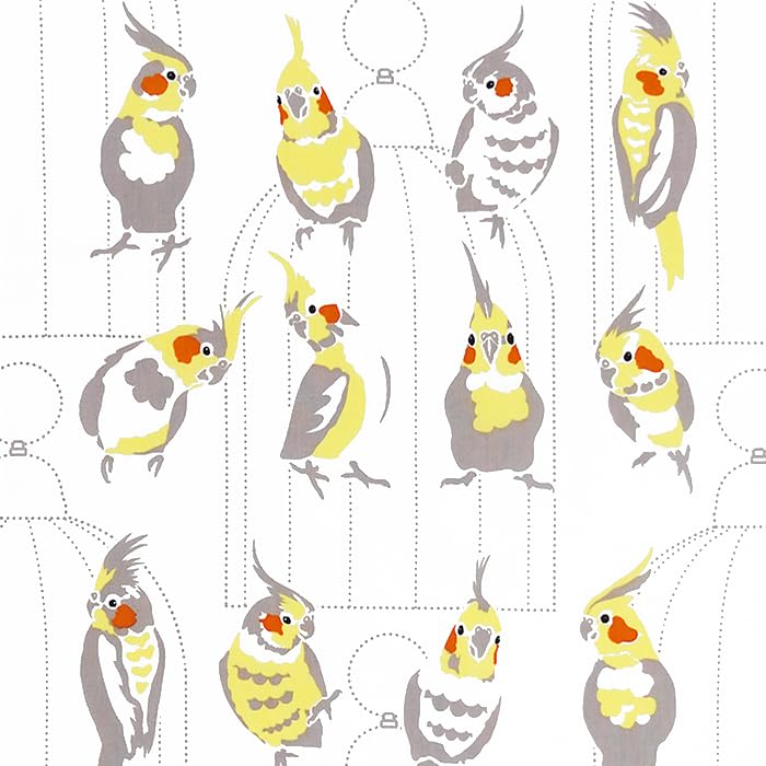 Dyeing Anbo Hand Towel Parakeet Authentic Dyed Cotton Tokuoka Made in Japan 35cm x 100cm "Okame White" 100%