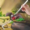 Reptile – Terarii pentru reptile