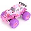 Remote Control Car for Girls 2.4GHz Cute Pink Purple Remote Control Climbing Car Rechargeable