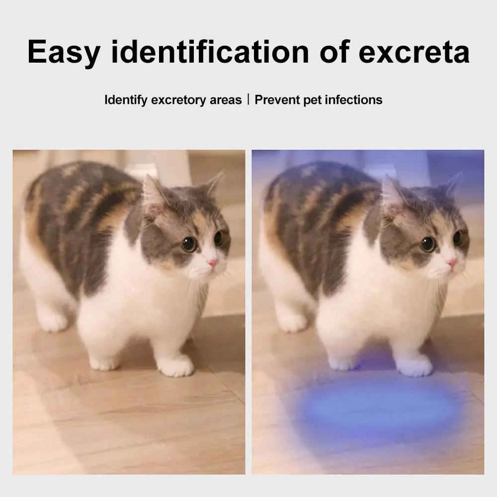 365nm UV Flashlight USB Rechargeable C8 Violet Black Mirror Ultraviolet Torch Pets Urine Cat Tinea Money Ore Scorpion Detection