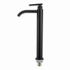 304 Stainless Steel Vessel Sink Faucet Single Cold Water Single Handle Sink Faucet One Hole Black Finish Tall Basin Tap