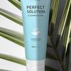 Lindsay Perfect Solution Pore Blackhead Sebum Cleansing Foam 120ml
