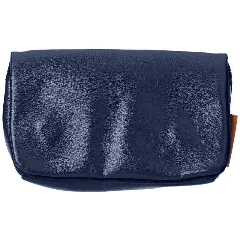 Portable Camera Bag for Sony RX100 Series & G9X Mirrorless Cameras