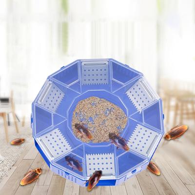 Scatola di raccolta scarafaggi Scatola trappola per scarafaggi rotonda in plastica monostrato a 6 ingressi per cucina