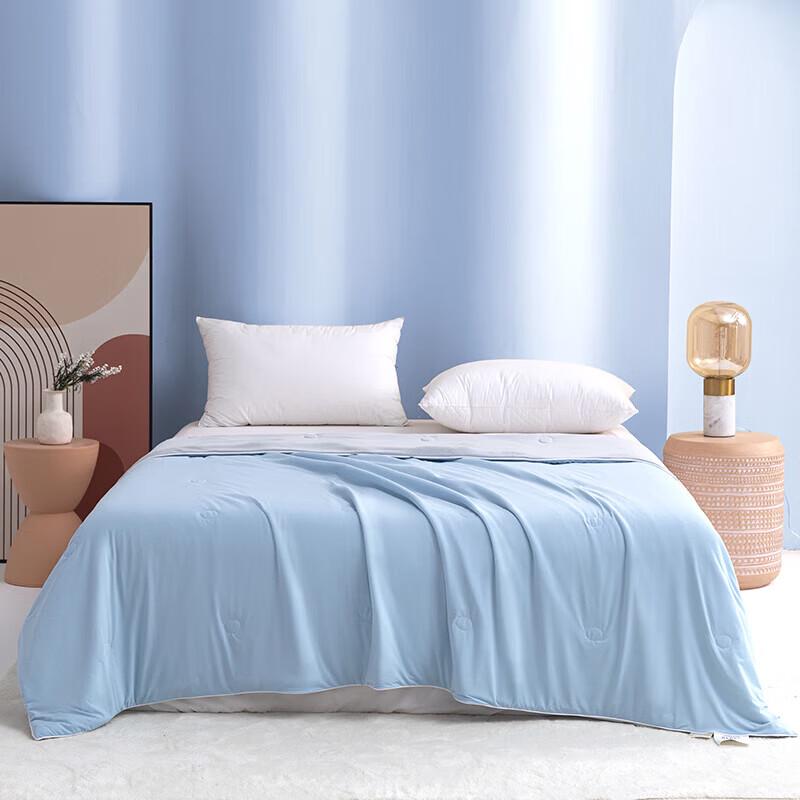 Jin Si Li All-Season Fiber Quilt