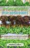 The Hydroponics for Beginners : The Ultimate Guide To Start Growing Vegetables, Fruits And Herbs At Home Without Soil Book