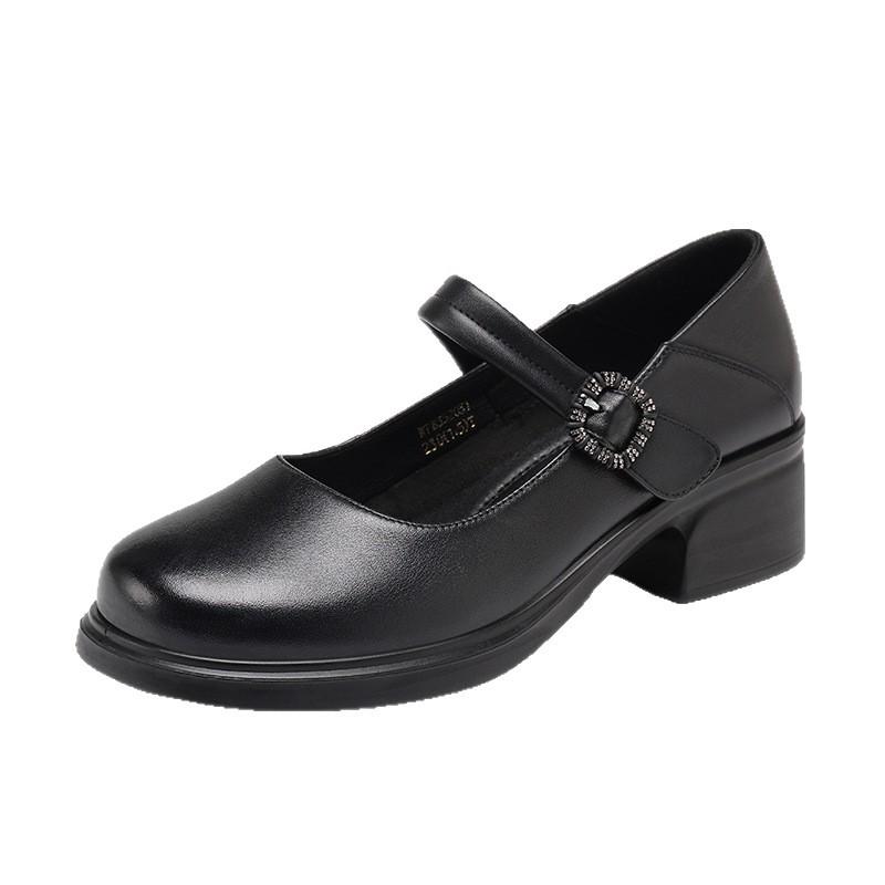 Red Dragonfly Women's Autumn Cowhide Mary Jane Shoes with Thick Heel and Height Increase Feature