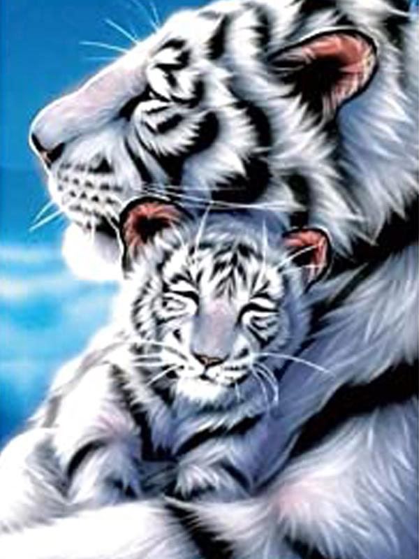 

Алмазная мозаика Пейзаж 5D Алмазная картина Набор для вышивки крестом Алмазные точки Картина Мозаика 15*20cm