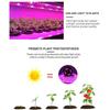 Full Spectrum LED Grow Light 5V USB Grow Light Strip USB Light Grow Light Plant Light