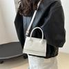 New Popular Trendy and Beautiful Messenger Bag Texture Niche Design Bag Women's Autumn Fashion Shoulder Small Square Bag