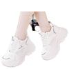 Thick-soled Inner Height Increase Autumn Dad Shoes Small Mesh Breathable Shoes