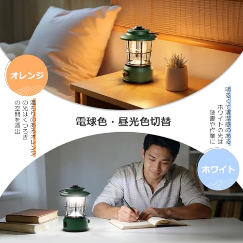 Lepro Lantern, USB Rechargeable, Retro LED Lantern, Stylish Camping Lantern with Antique Style, Solo Camping [High Brightness, Daylight/Warm White Swi