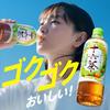 Asahi Drink Juroku Tee (LL) Papierpackung Slim 250ml24 Flaschen Koffeinfrei