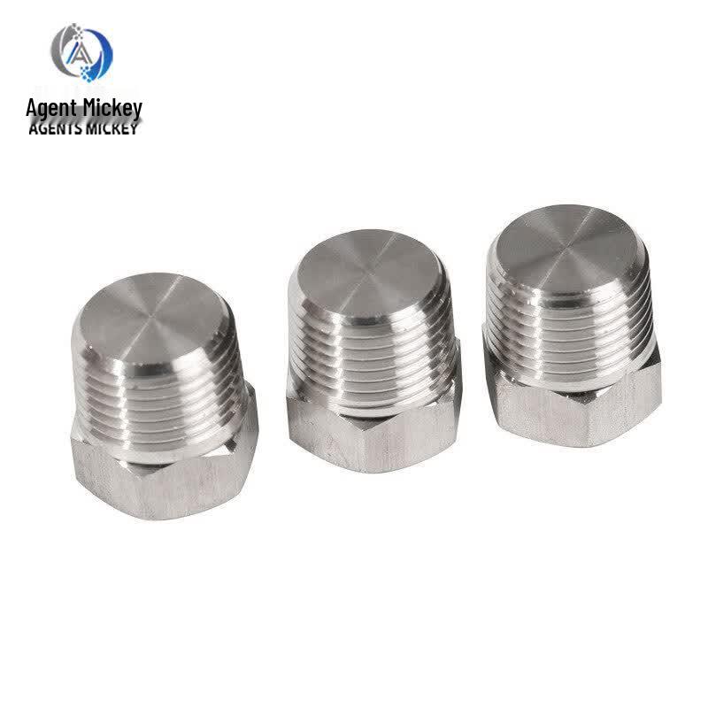 Agents Mickey 304 Stainless Steel NPT1/4 Hex Head Pipe Plug