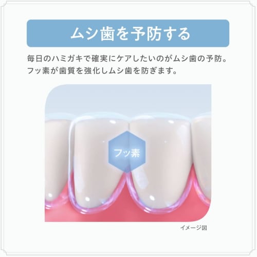 [Bulk Purchase] Medicinal AP White Paste Refresh Mint 110g X 2 Sets