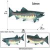Children's Marine Life Model Toys: Squid, Mako Shark, Flying Fish, Greenfin Tuna