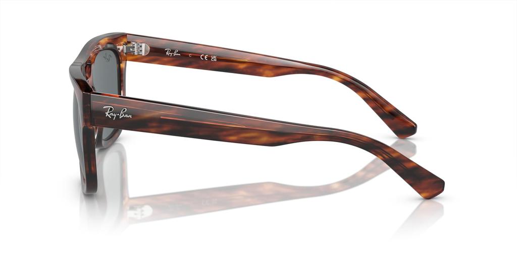 Sunglasses RB4426 PHIL STRIPED HAVANA 54 [Ray-Ban]