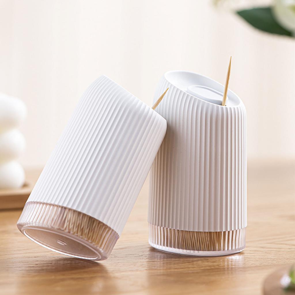 Toothpick Holder Multipurpose Luxury Creative Portable Tooth Pick Storage Dispenser for Kitchen