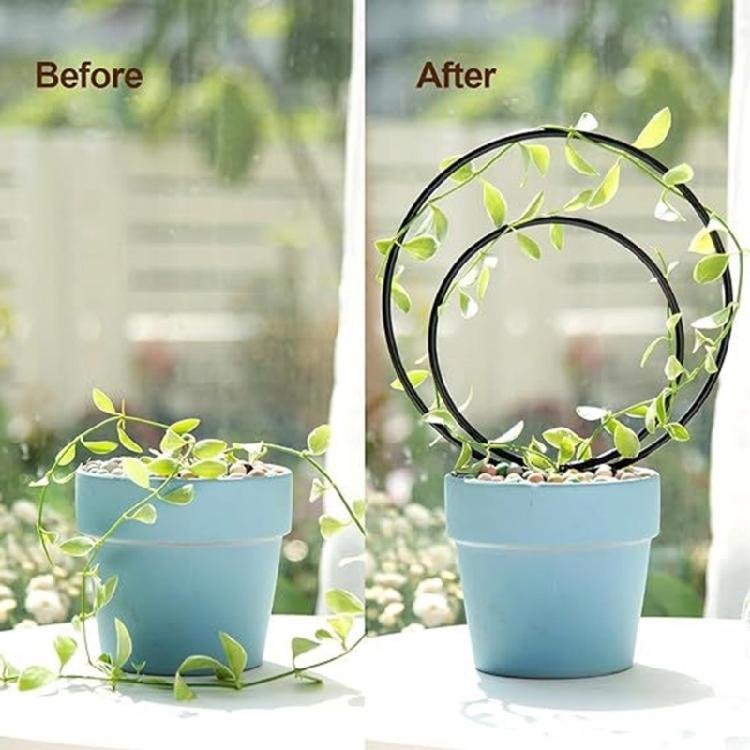 3Pcs Circular Trellis for Potted Plant Metal Plant Trellis for Climbing Plant Indoor Pots For Indoor Climbing Plant