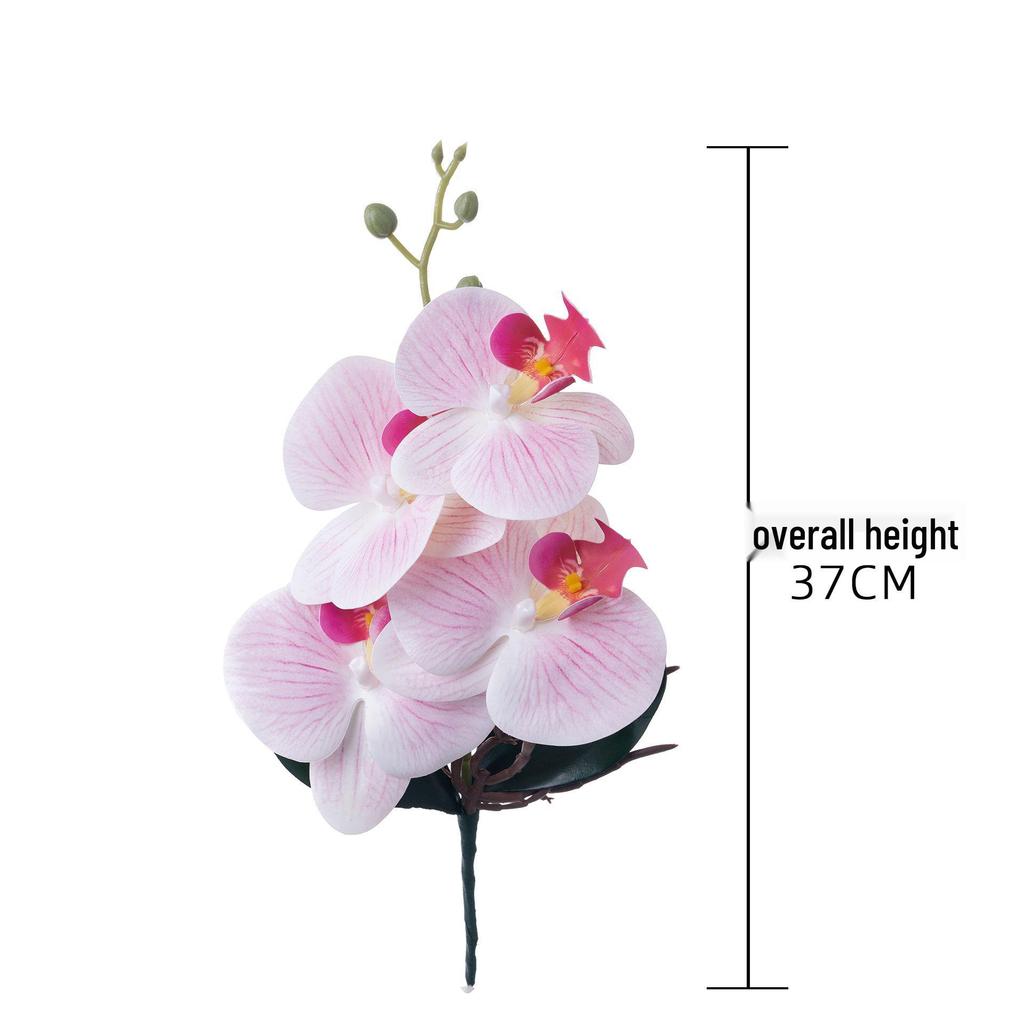 Starry Sky Milk Tea Phalaenopsis Orchid with Leaves - INS Style Faux Flower for Home Decor and Weddings