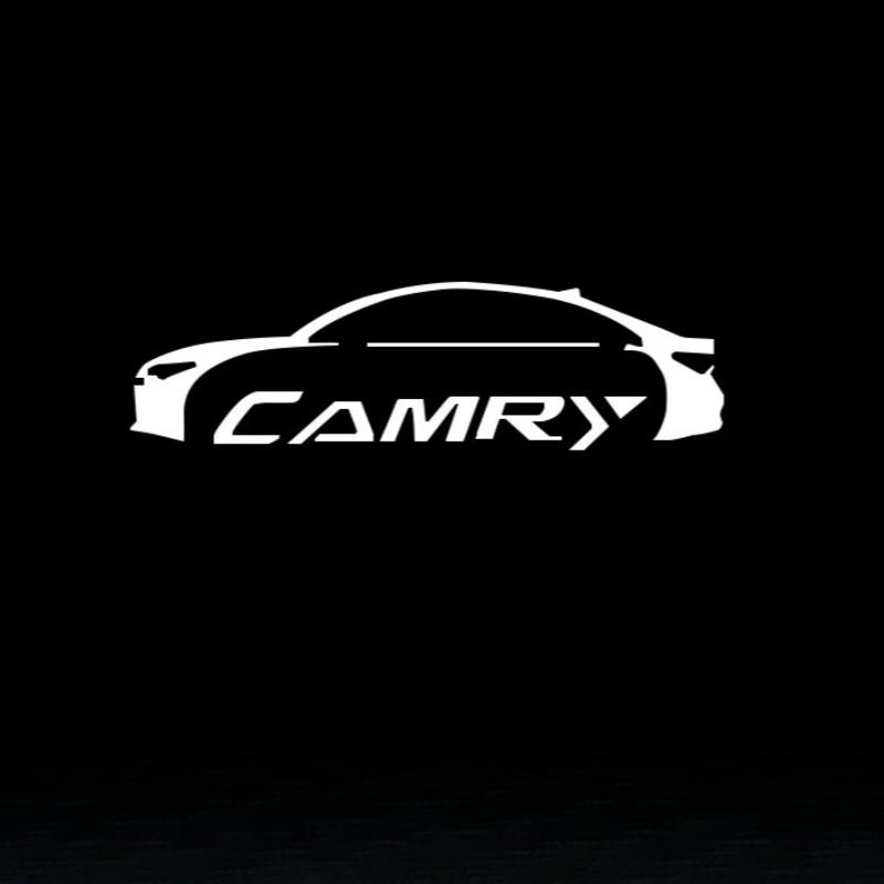 VTSJ3 2/4Pcs LED Car Door Welcome Lights Projector Ghost Shadow for Toyota Camry Highlander Land Cruiser Reiz Exterior Accessories