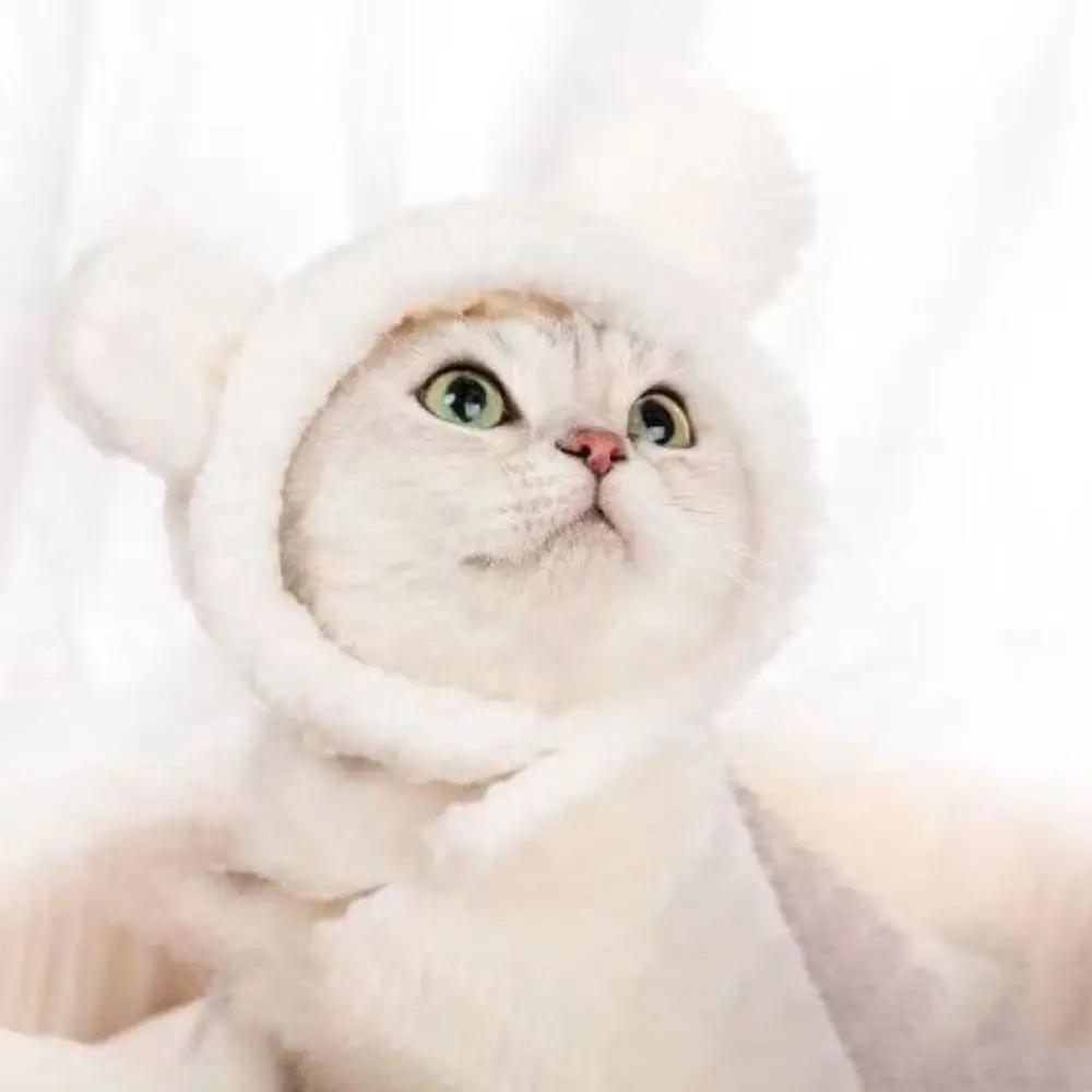 Niedlicher Bär mit Kapuze, Kaninchen, Haustier, Katze, Hund, Zubehör, Cosplay, Katzenmütze, Winter, schöne Neujahrs-Kopfbedeckung für Welpen, weicher Samt, Haustierbedarf