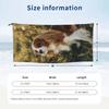 Cavalier King Charles Spaniel Square Beach Towel Soft Microfiber Quick Dry Absorbent Quick Towels For Bath