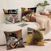 Cute Hedgehog Cushion Cover Soft Short Plush Pillow Cover Smooth Cozy Texture Aesthetic Cushion Case Home Decor