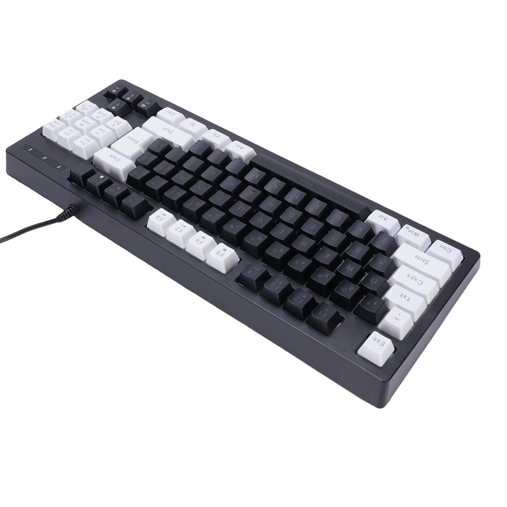RGB Backlit Gaming Keyboard 87 Keys Compact Keyboard USB Wired Keyboard for PC Laptop Gamers Typist