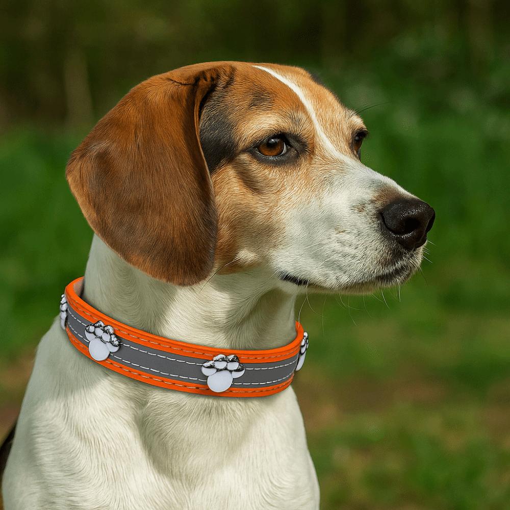 Adjustable Reflective Dog Collar Leather Dog Footprint Collar  Pet Daily Necessities