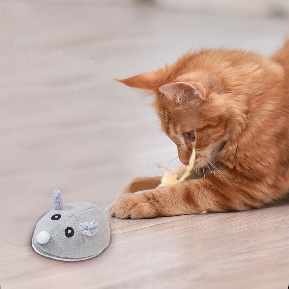 Electric Mouse Toy with Tail, USB Rechargeable Interactive Cat Toy, Compatible with All Breeds (2PC)