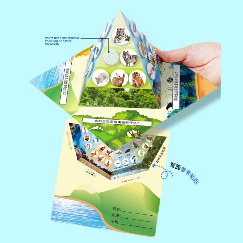 Paper Food Chain Pyramid Model Assembly Material Set Puzzle Toys For Children Educational Biology Set