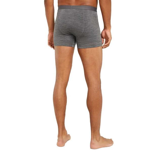 Icebreaker трусы-боксёры Merino 125 Cool-Lite Anatomica