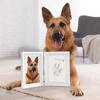 Dog Or Cat Paw Print Frame Kit Pet Paw Print Impression Kit With Soft Clay Personalized Pet Memorial Gift