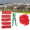 Ear Tag Plier Professional Animal Ear Tag Applicator with Ear Tags for Livestock Breeding