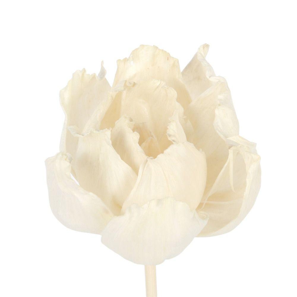 Handmade Fragrance For Home Tongcao Flower Dried Flowers Diffuser Sticks Aromatic Incense