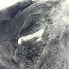 FENDI Mamma Baguette shoulder bags Hand Bag fur / Leather Black/SilverHardware