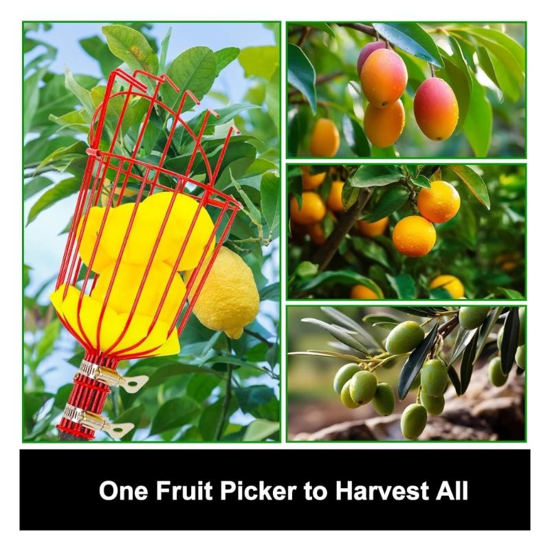 Leichtes Aluminium Ausziehbares Obstpflücker Werkzeug Mit Rutschfestem Griff Obstgarten Erntewerkzeug Für Heim- Und Landwirtschaftlichen Gebrauch